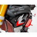 DBK Special Parts (Ducabike) Carbon Fiber Radiator Side Panels for Triumph Speed Triple 1200 RR /RS